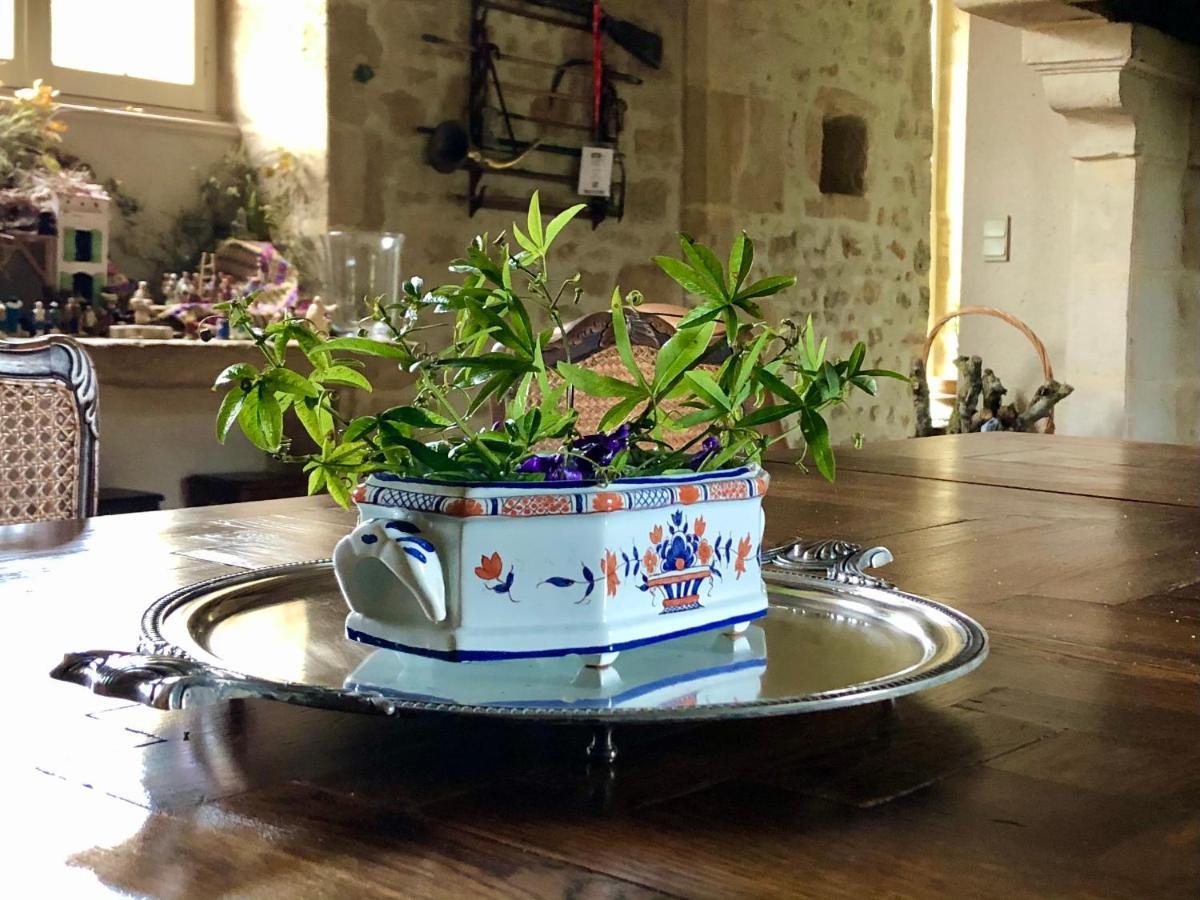 Saint-Hilaire-des-Loges Logis De La Touche Bed & Breakfast エクステリア 写真