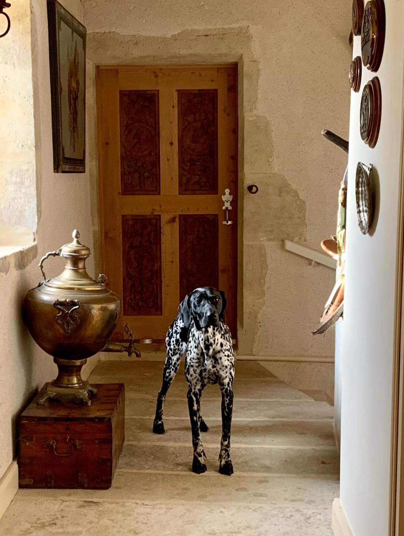 Saint-Hilaire-des-Loges Logis De La Touche Bed & Breakfast エクステリア 写真